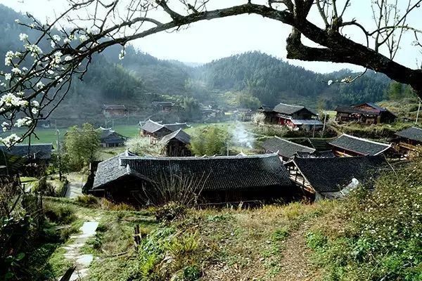 卡田村 卡田村