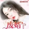 廢婿成龍 廢婿成龍