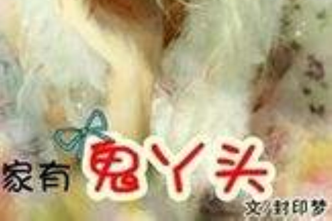 家有鬼丫頭 家有鬼丫頭