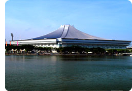 2010年新加坡青少年奧林匹克運動會(新加坡青奧會)
