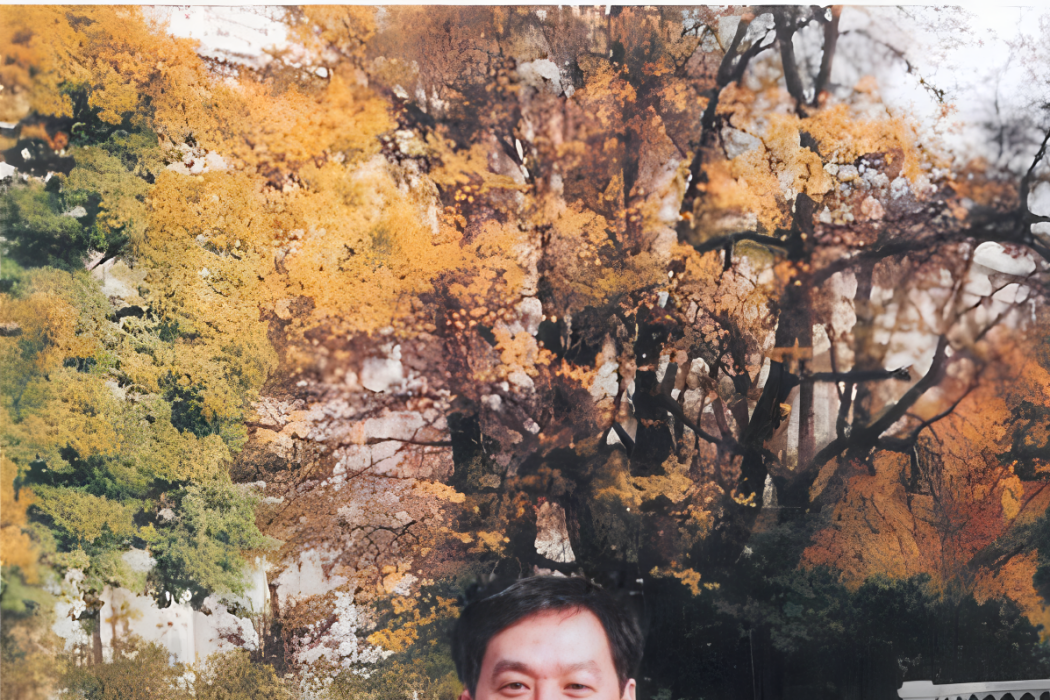 肖成玉 肖成玉
