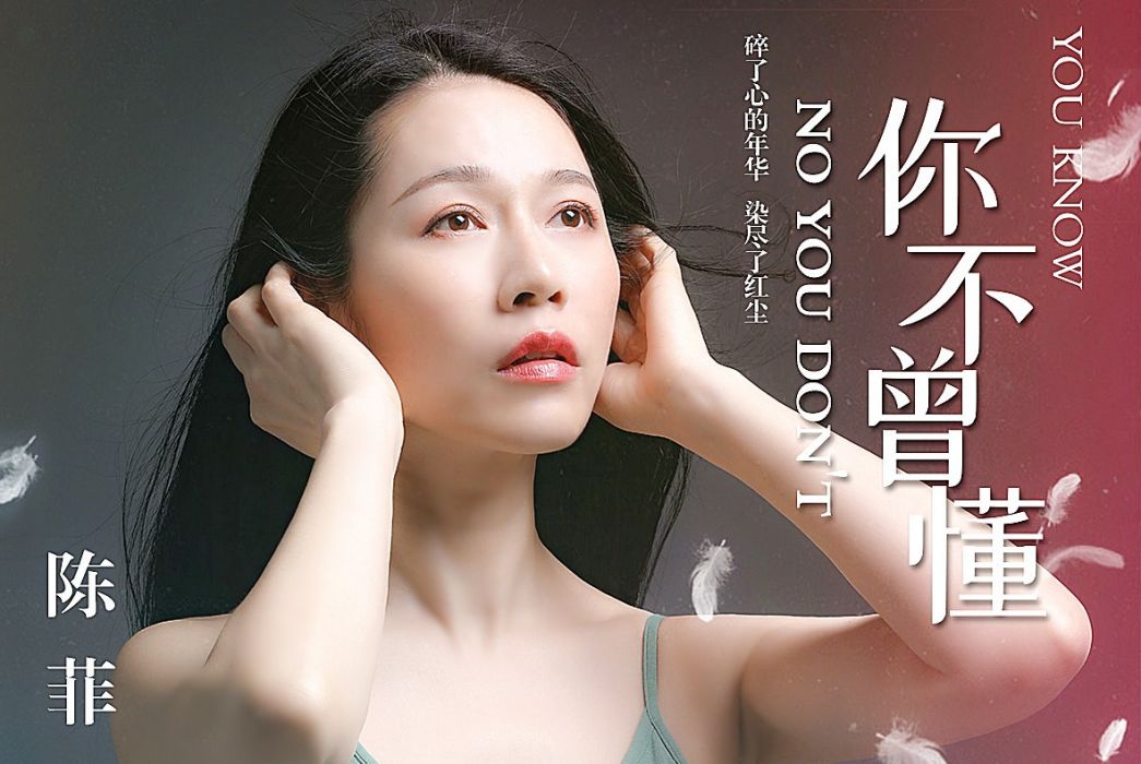 你不曾懂 你不曾懂
