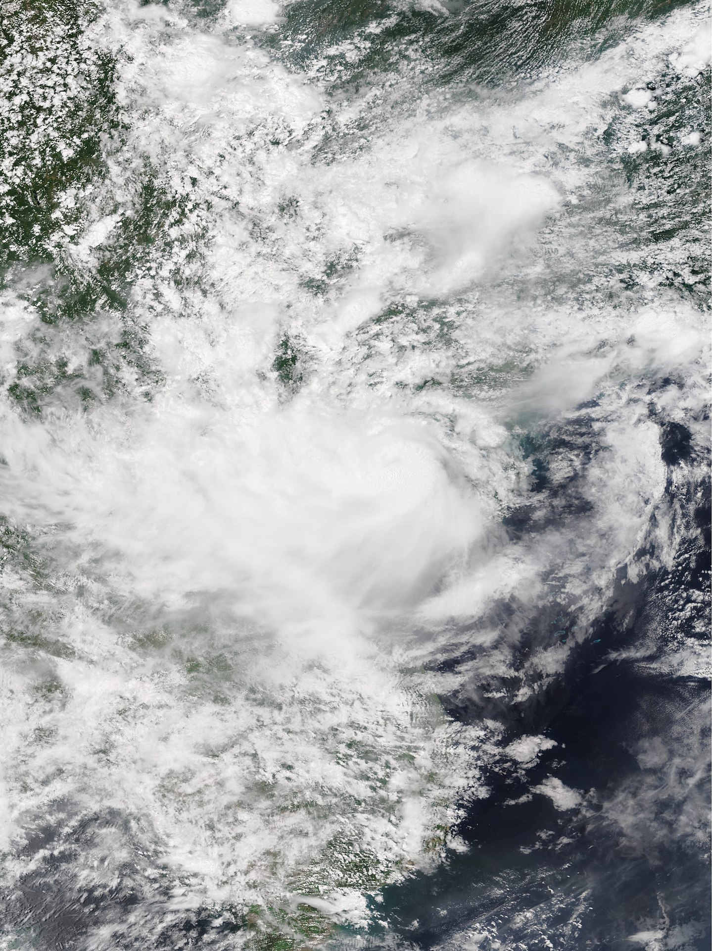強熱帶風暴貝碧嘉 衛星雲圖