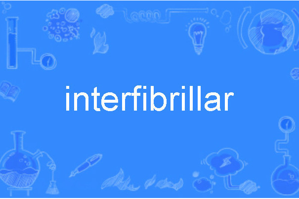 interfibrillar interfibrillar