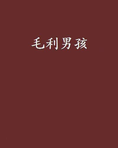 毛利男孩(小說) 毛利男孩(小說)