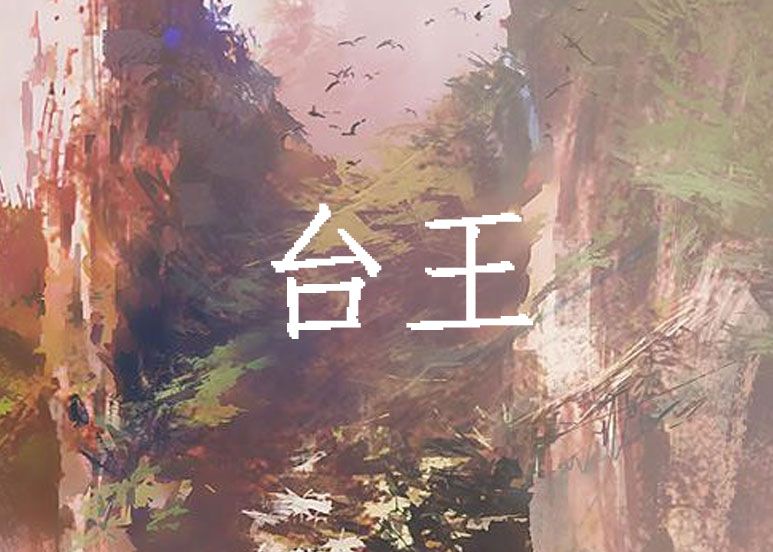 台王 台王