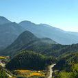 九峰鄉(湖北省武漢市洪山區九峰鄉) 九峰鄉(湖北省武漢市洪山區九峰鄉)