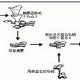數據電文 數據電文