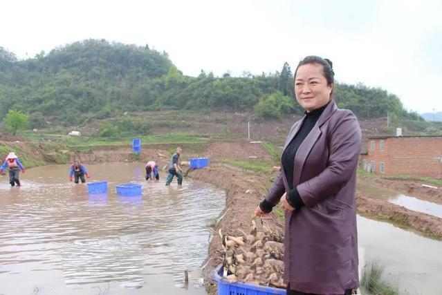 雷丹(金沙縣後山鎮茂塘生態農業發展公司董事長) 雷丹(金沙縣後山鎮茂塘生態農業發展公司董事長)
