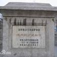 牛駝 牛駝