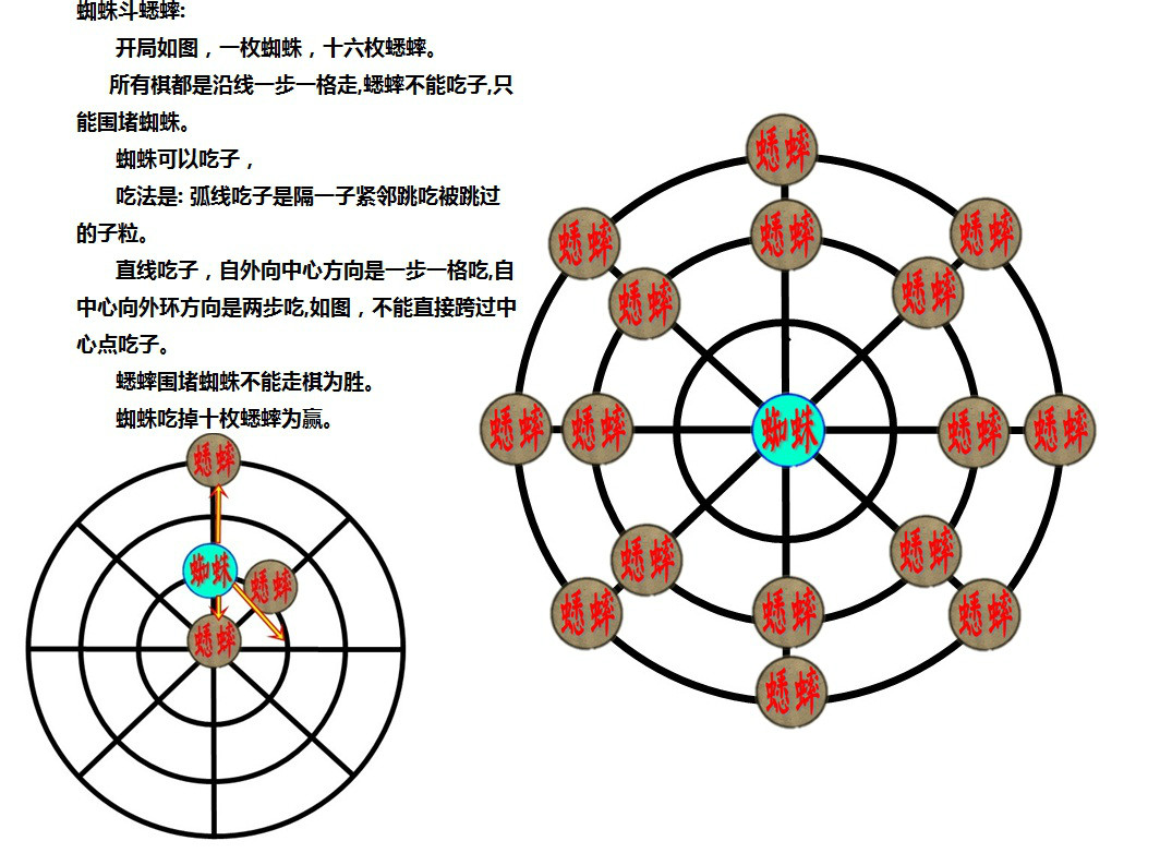 蜘蛛鬥蟋蟀