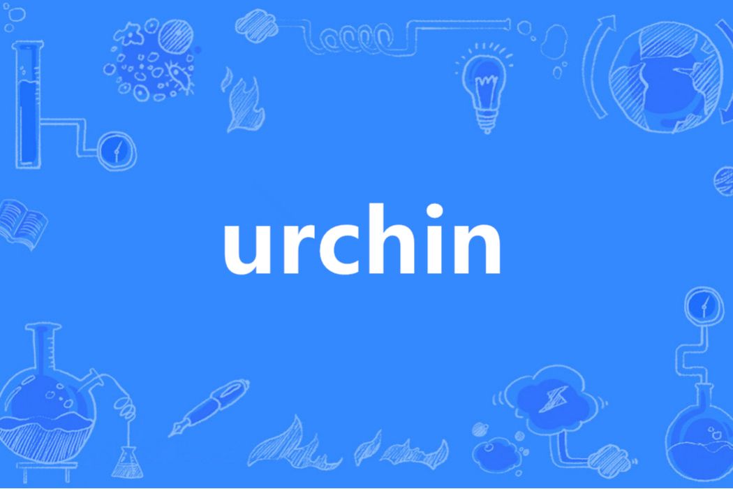 urchin(英語單詞) urchin(英語單詞)
