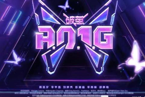 A.O.1.G