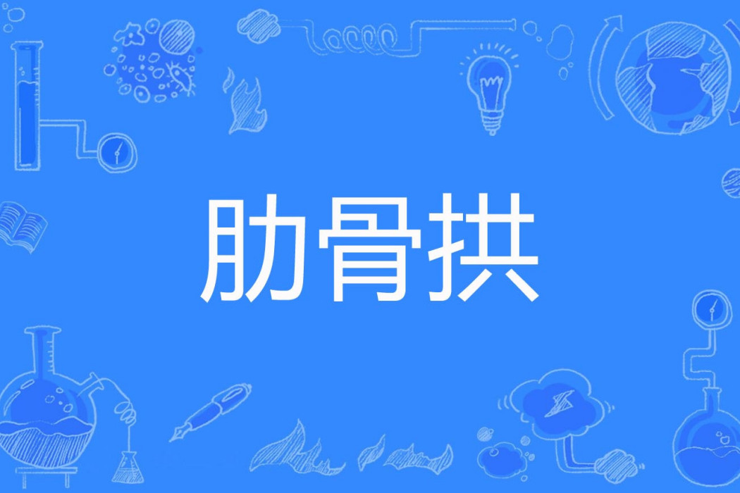 肋骨拱 肋骨拱