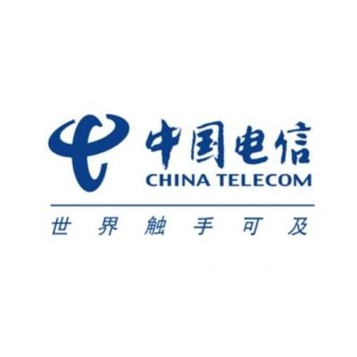 中國電信股份有限公司山東分公司