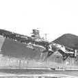 隼鷹號航空母艦(隼鷹號) 隼鷹號航空母艦(隼鷹號)