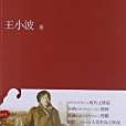 黑鐵時代(2013年上海三聯書店出版的圖書) 黑鐵時代(2013年上海三聯書店出版的圖書)