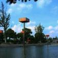 桐涇公園