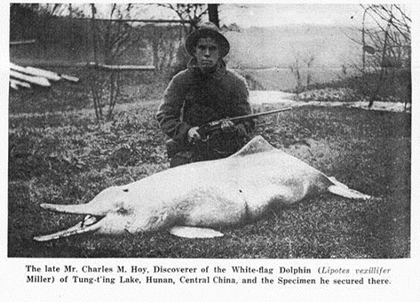 霍依和他獵獲的白鱀豚模式標本