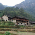中良村(廣西河池區大化縣下轄村) 中良村(廣西河池區大化縣下轄村)
