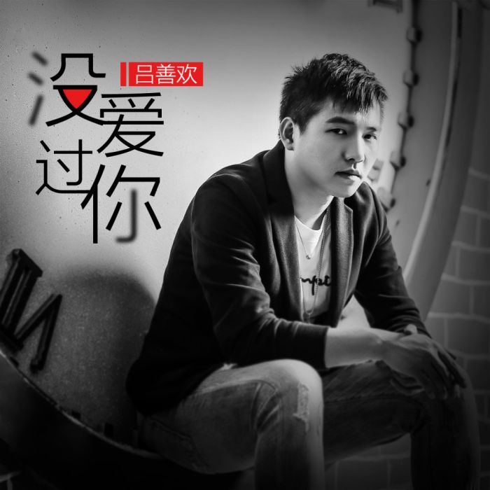 沒愛過你 沒愛過你