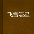 飛雪流星 飛雪流星