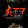 灰王子(網路小說) 灰王子(網路小說)
