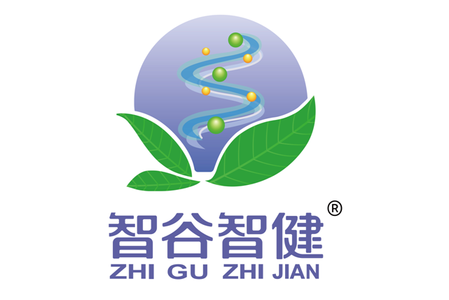 智谷智健 智谷智健