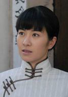古城往事(2009年夏鋼執導電視劇)