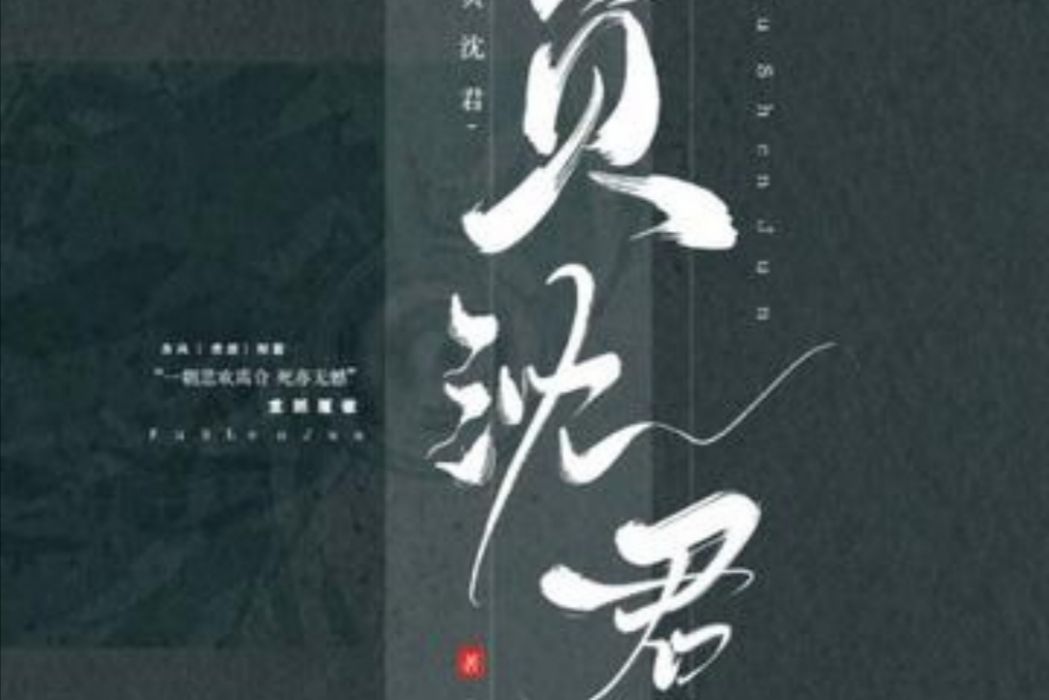 負沈君 負沈君