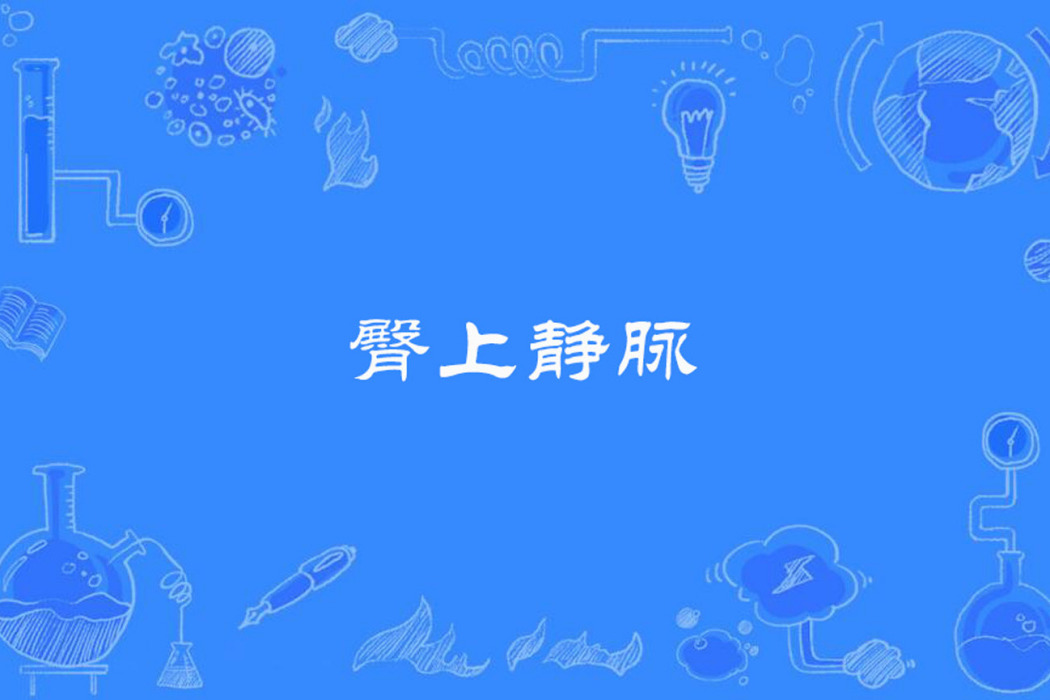 臀上靜脈 臀上靜脈