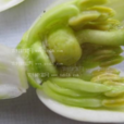 柑橘花蕾蛆(橘蕾癭蚊) 柑橘花蕾蛆(橘蕾癭蚊)