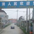 鶯湖村 鶯湖村