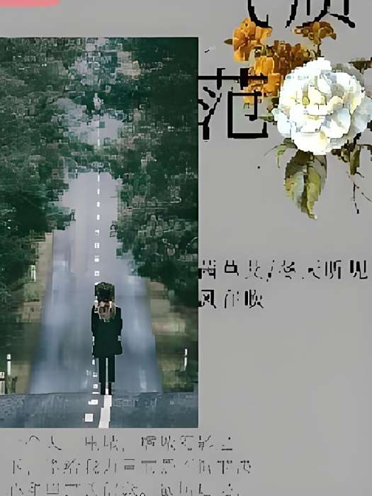 氣質范 氣質范