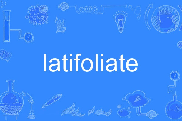 latifoliate latifoliate