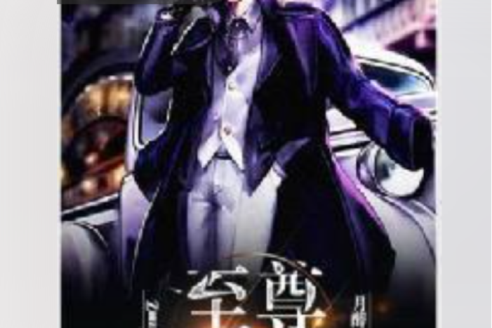 至尊奶爸(月醉示天所著小說)
