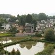中湖村(江西定南縣嶺北鎮下轄村) 中湖村(江西定南縣嶺北鎮下轄村)