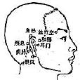 瘈脈 瘈脈