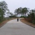 徐家營村(河南洛陽市高新區辛店鎮下轄村) 徐家營村(河南洛陽市高新區辛店鎮下轄村)