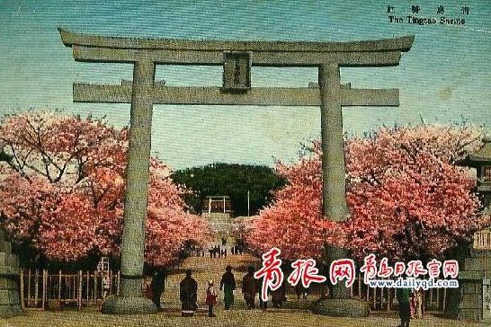 青島神社 青島神社