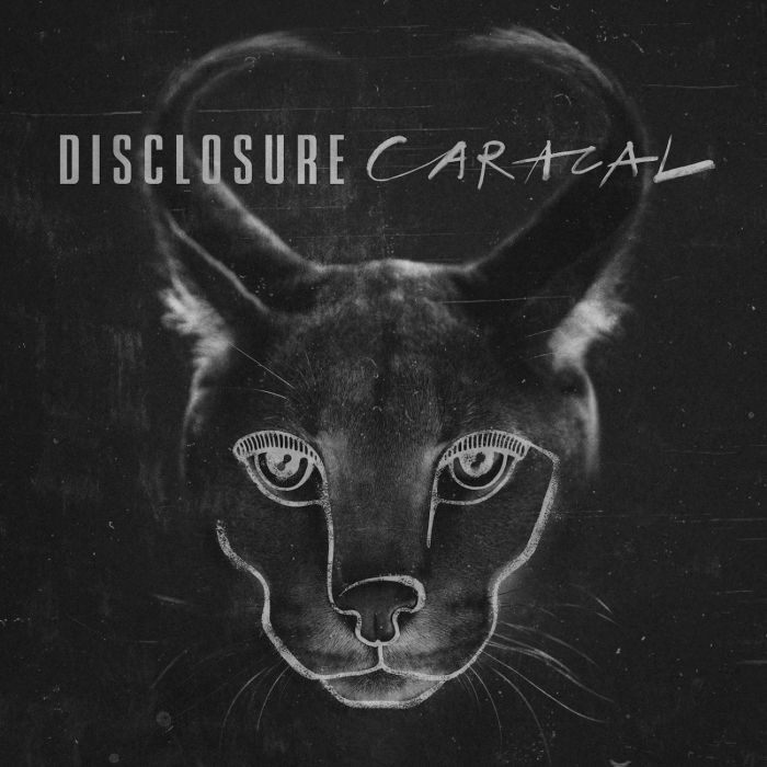 Caracal Caracal