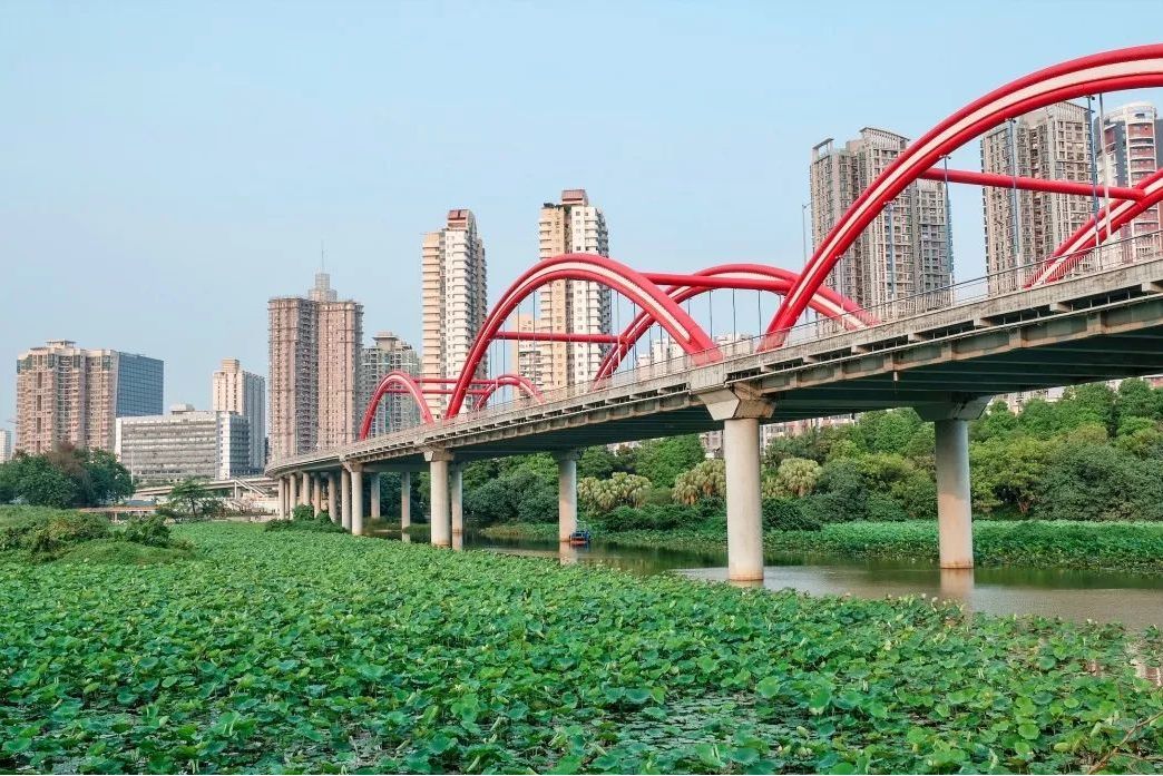 芙蓉大橋(中國廣東省深圳市境內的橋樑) 芙蓉大橋(中國廣東省深圳市境內的橋樑)