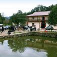 樂畎村 樂畎村