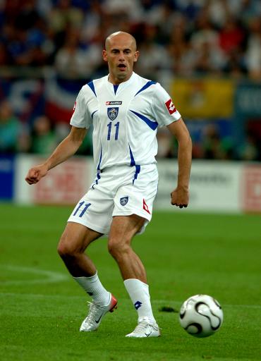 2006年世界盃上的喬爾傑維奇