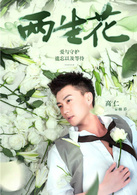 兩生花(2015年劉愷威、王麗坤主演電視劇)