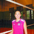 小榔頭 小榔頭