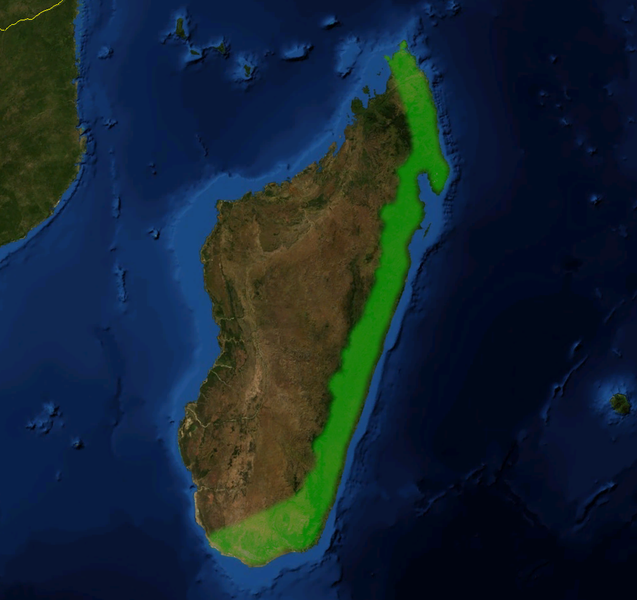 圖中的綠色標記為馬達加斯加豬籠草的原生地