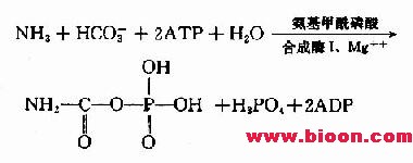 氨基甲醯磷酸
