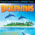 海豚(2000年的紀錄片電影)