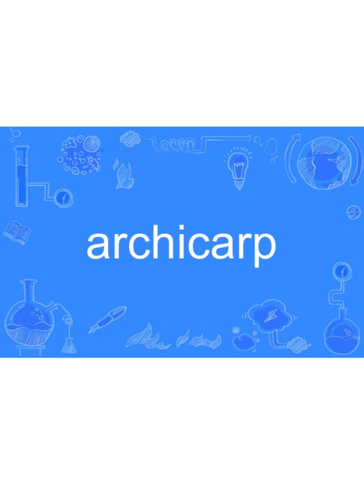 archicarp archicarp